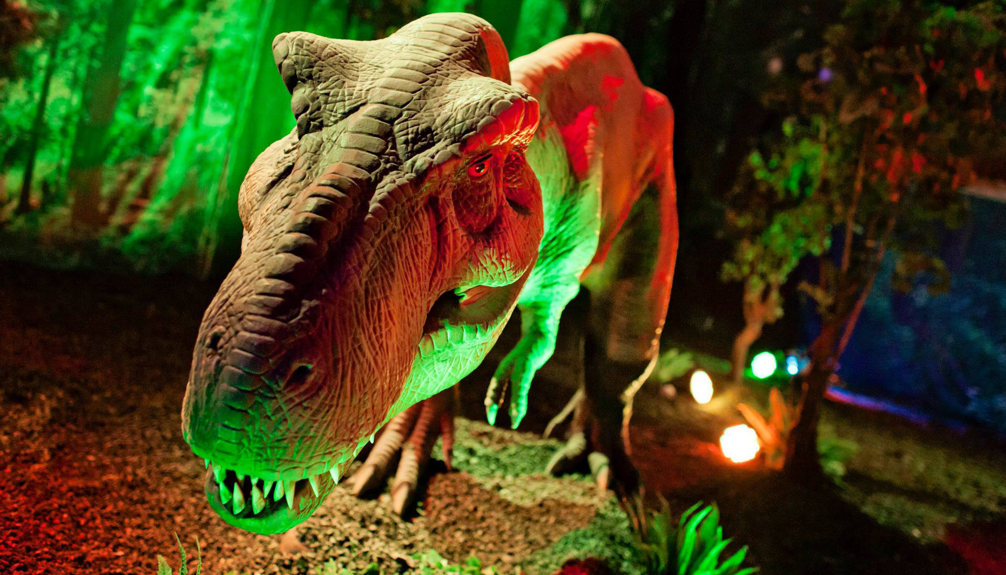Expo Dino World - T-REX