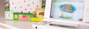 Nintendo 3DS XL - edition Animal Crossing