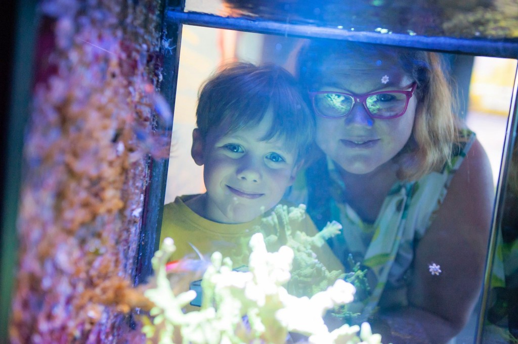 Visite du Nausicaa de Boulogne sur Mer