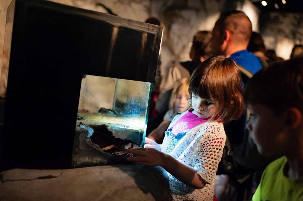 Visite du Nausicaa de Boulogne sur Mer