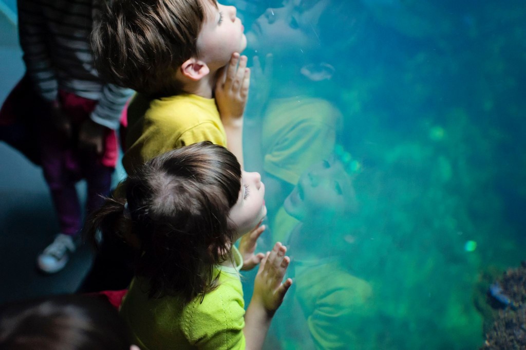 Visite du Nausicaa de Boulogne sur Mer