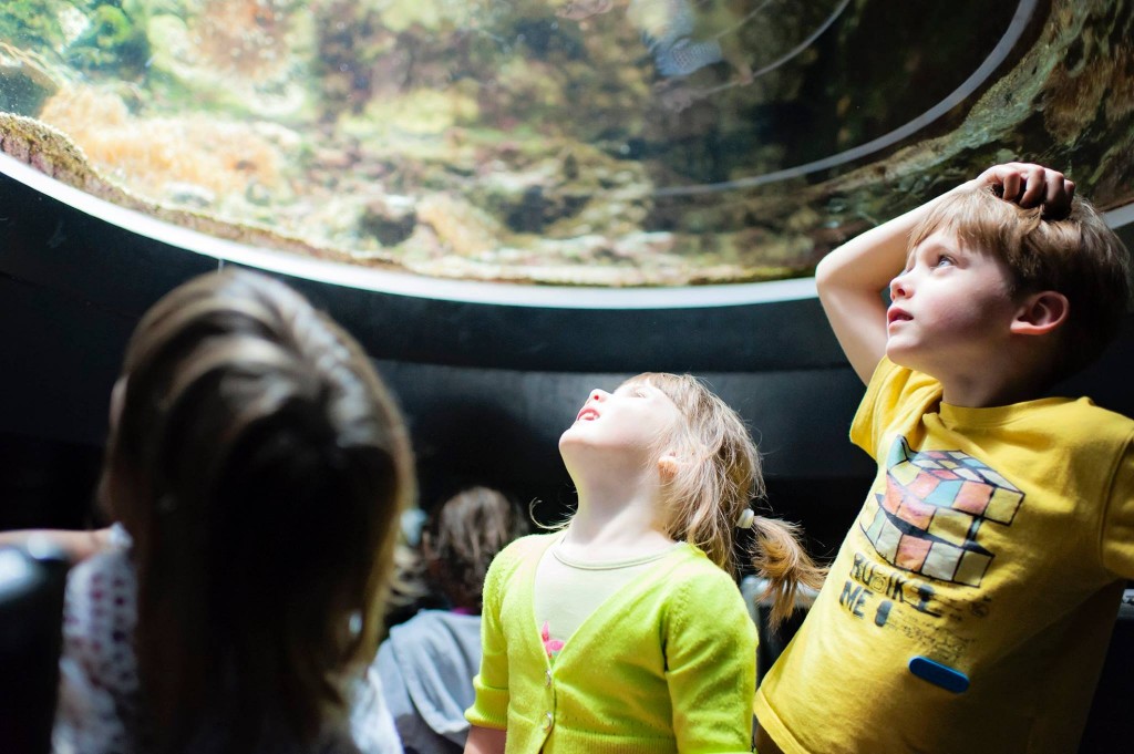 Visite du Nausicaa de Boulogne sur Mer