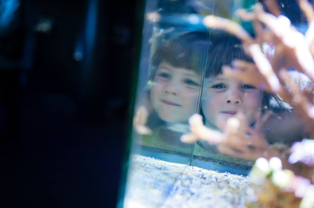 Visite du Nausicaa de Boulogne sur Mer
