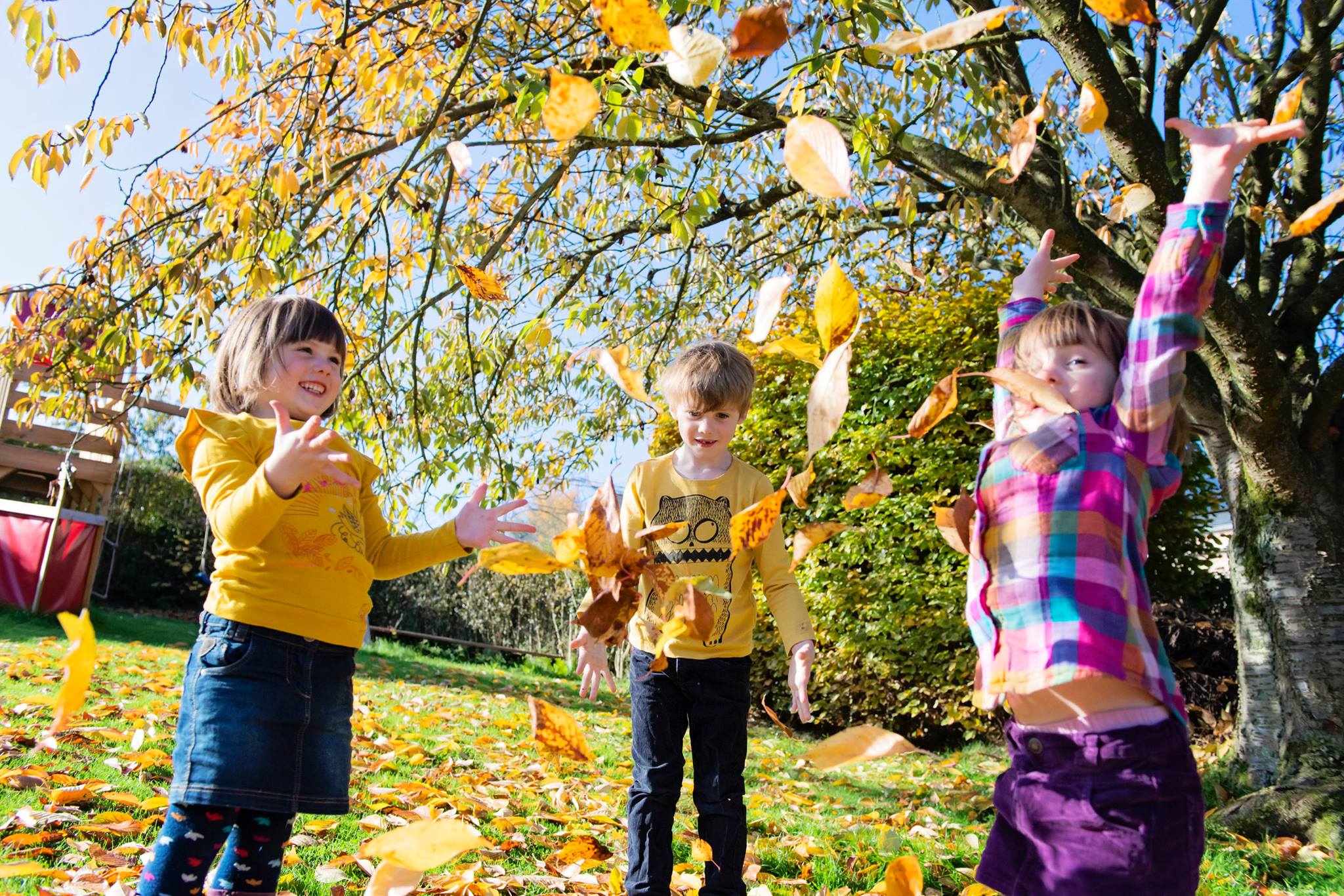Couleurs d'automne - Petite Snorkys Photography