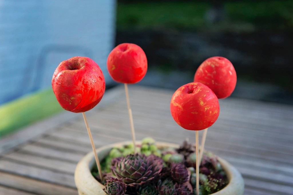Bricolage - Pomme d'amour - Petite Snorkys Photography