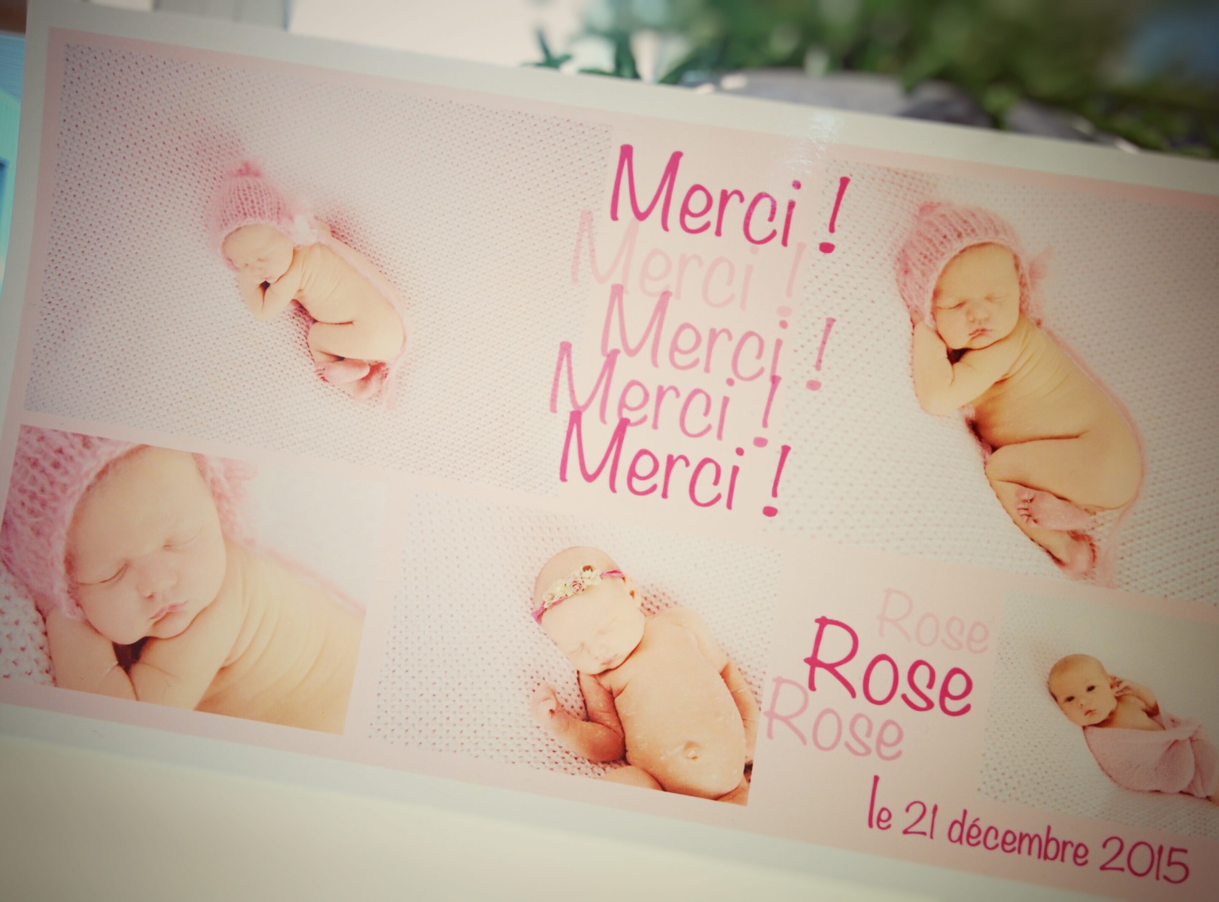 Rose... merci
