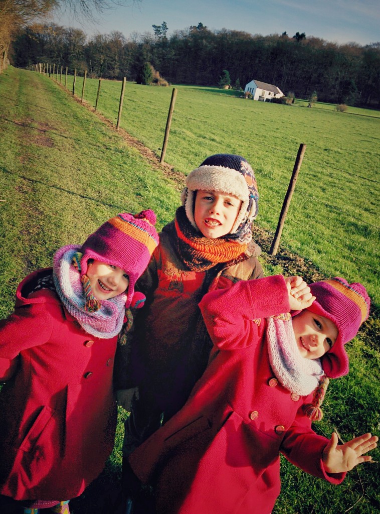 Avister, le long des prés aux vaches.