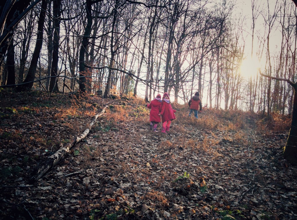 Dans les bois d'Avister
