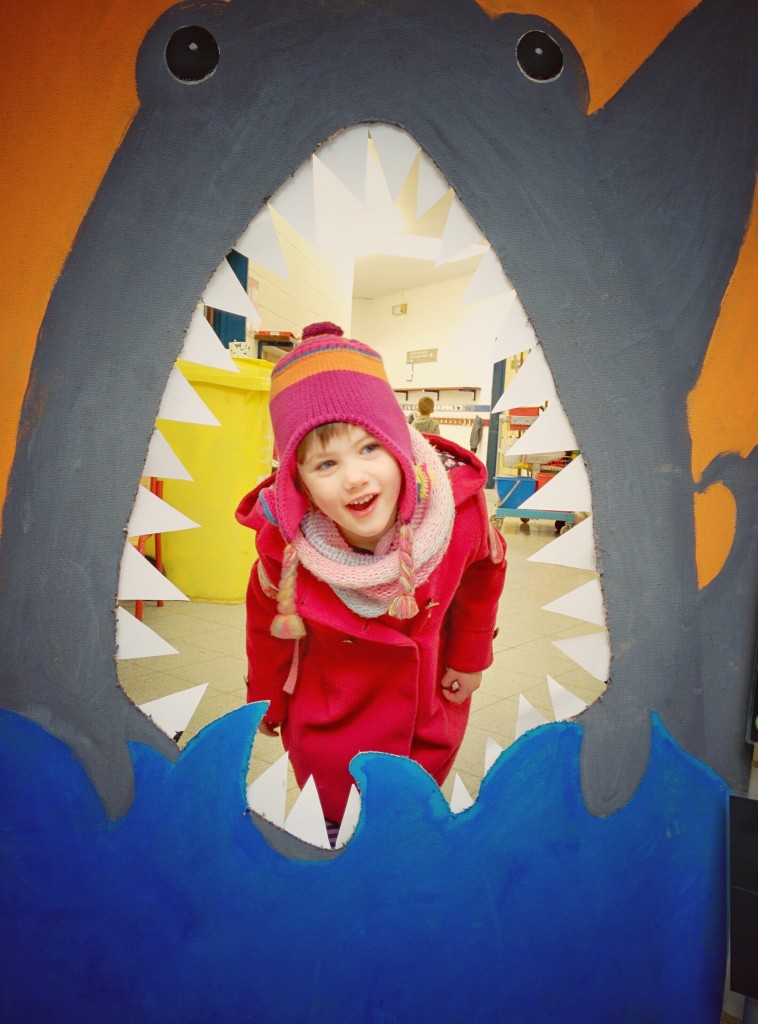 Exposition - L'océan - école du Sart Tilman - 2016