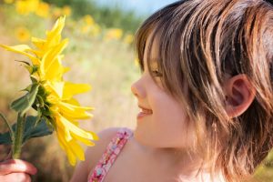 vacances 2016 - dans les champs de tournesol