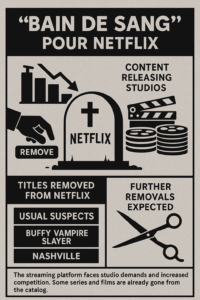 100% e-Media : Pourquoi les films et séries quittent Netflix ?