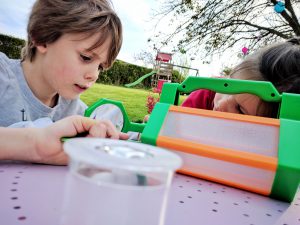 A la chasse aux bestioles !