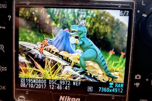 Playmobil Stories #3 : Sur la piste des champignons géants