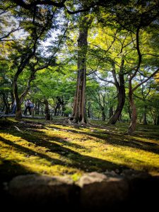 Méditation dans un temple bouddhiste dans Kyoto