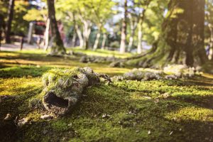 Méditation dans le temple bouddhiste Tofukiji dans Kyoto