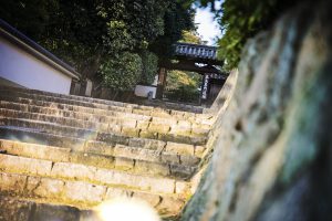Méditation dans le temple bouddhiste Tofukiji dans Kyoto