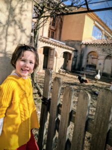 Coucou les poules - Une campagne en Provence