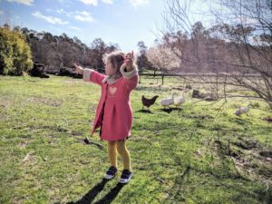 Coucou les poules - Une campagne en Provence