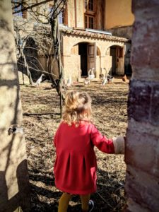 Coucou les poules - Une campagne en Provence