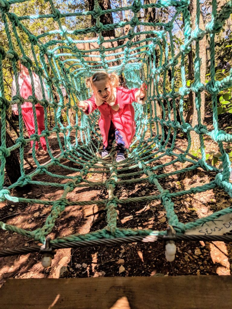 Même Rose a son parcours - Aoubré l’aventure Nature