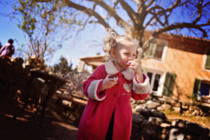 Chasse aux Oeufs dans le domaine d'Une Campagne en Provence