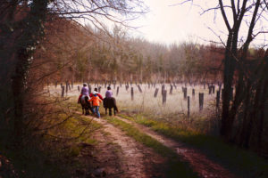 Balade à Poney dans le domaine d'Une Campagne en Provence