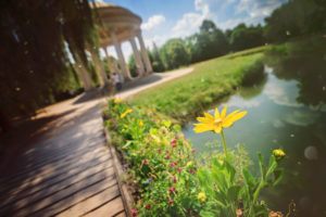Versailles - Le hameau de la reine par Petite Snorkys Photography