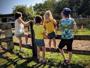 On aimerait bien faire un tour en poney - camping col vert sandaya