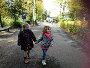 center parc erperheide 2018