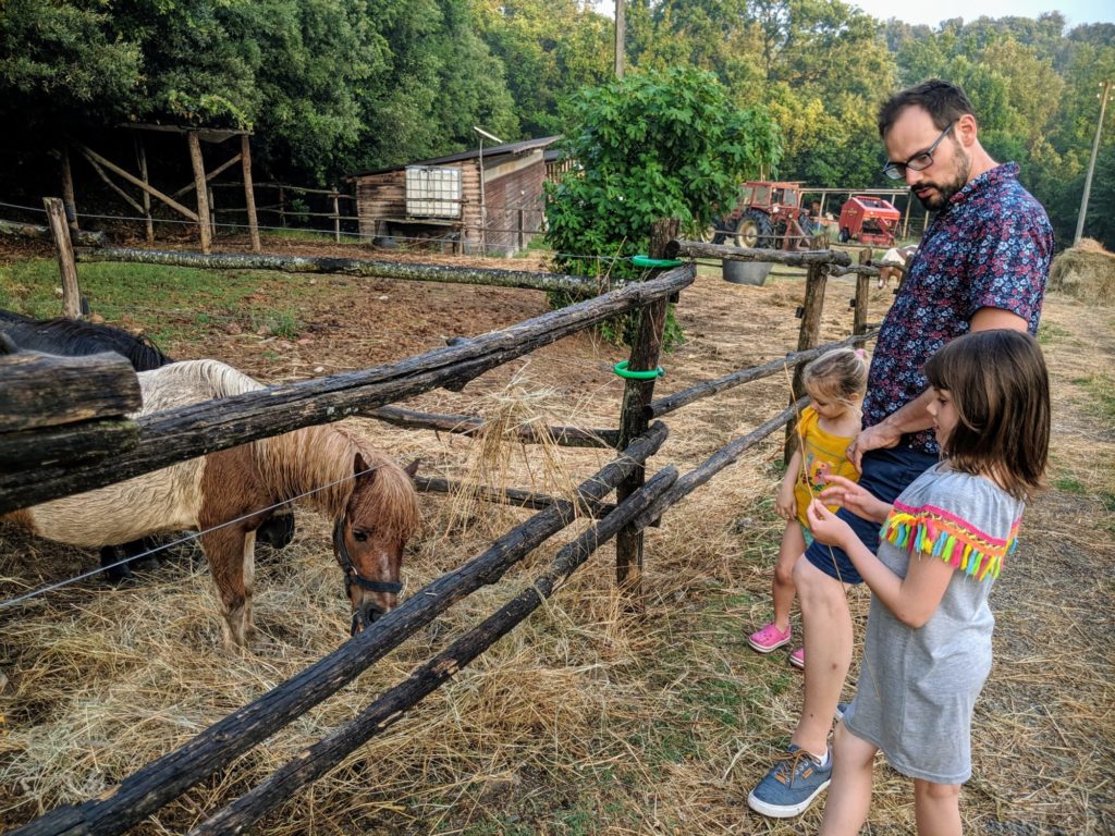 2019 06 28 20.16.24 1