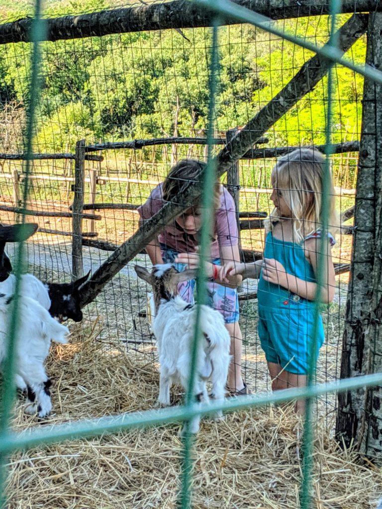 A la petite ferme de la Casa Verniano - Agriturismo
