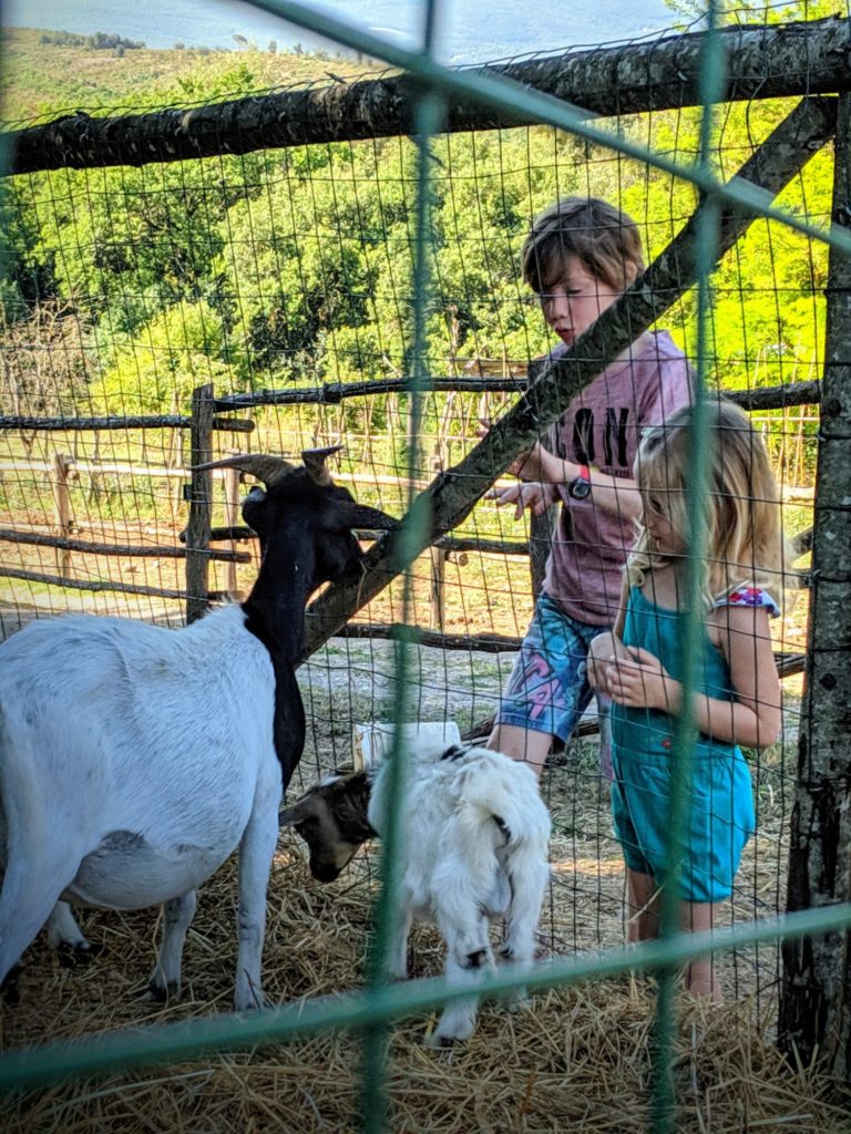 A la petite ferme de la Casa Verniano - Agriturismo
