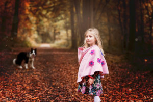 balade d'automne dans les bois de Seraing