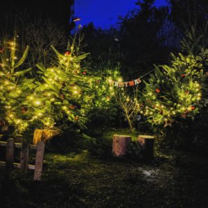 On prépare le décors de Noël - Petite Snorkys Photography
