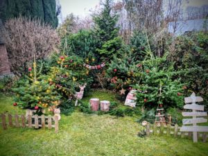 On prépare le décors de Noël - Petite Snorkys Photography