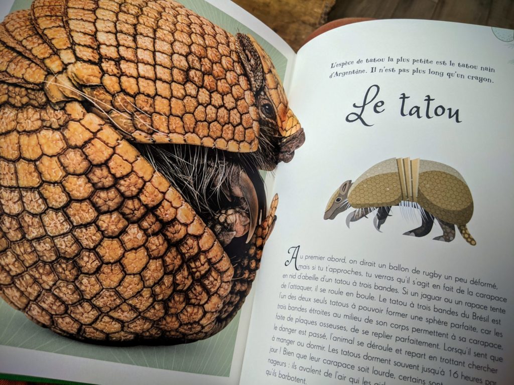 La Nature extraordinaire