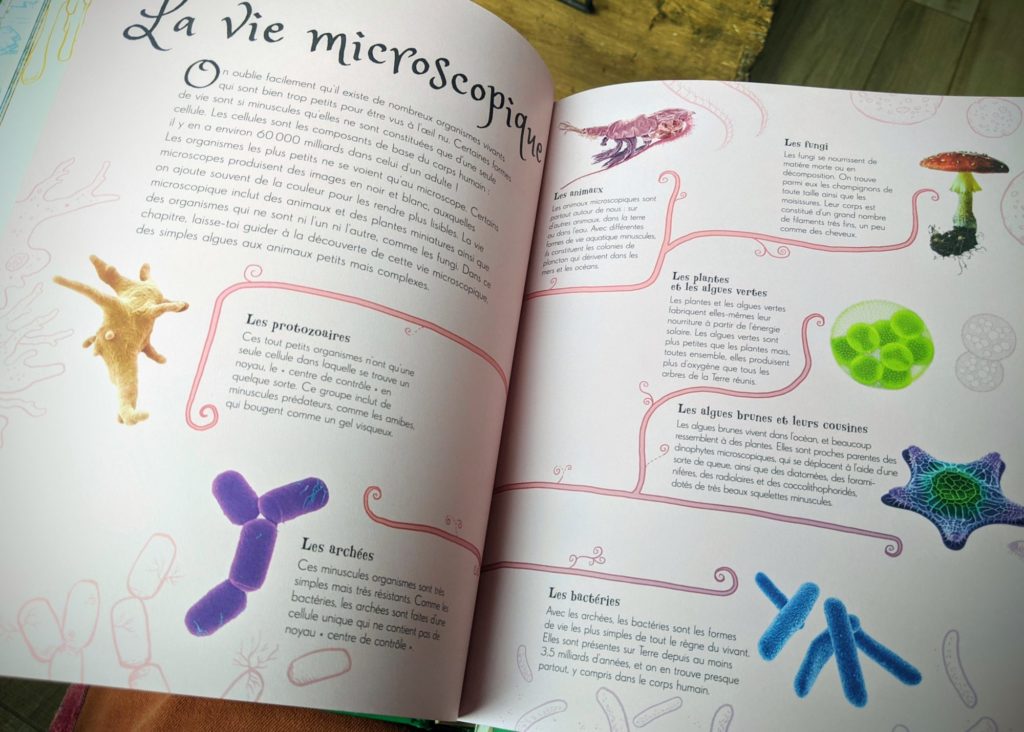 La Nature extraordinaire