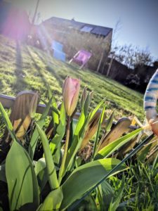 Et timidement, le printemps sort de son lit