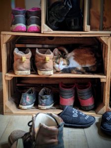 Plumette a trouvé une place !