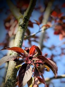 00100lrportrait 00100 Burst20200407163712148 Cover