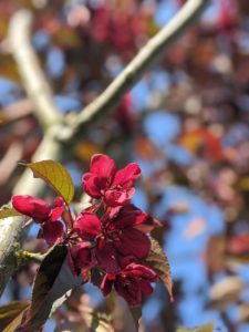 00100lrportrait 00100 Burst20200411171718297 Cover