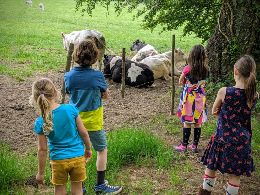 Grande balade hier prés de chez nous en passant enfin à La Roche aux Faucons jusque Plaineveau