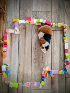 Encore 3 mois de plus !