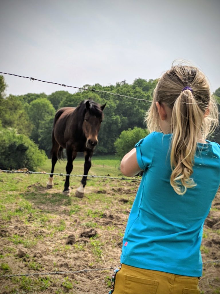 Grande balade hier prés de chez nous en passant enfin à La Roche aux Faucons jusque Plaineveau