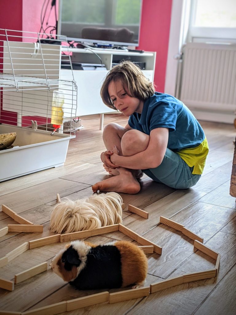 Bon, je range cela dans les 'Chons ou les Kaplas ?