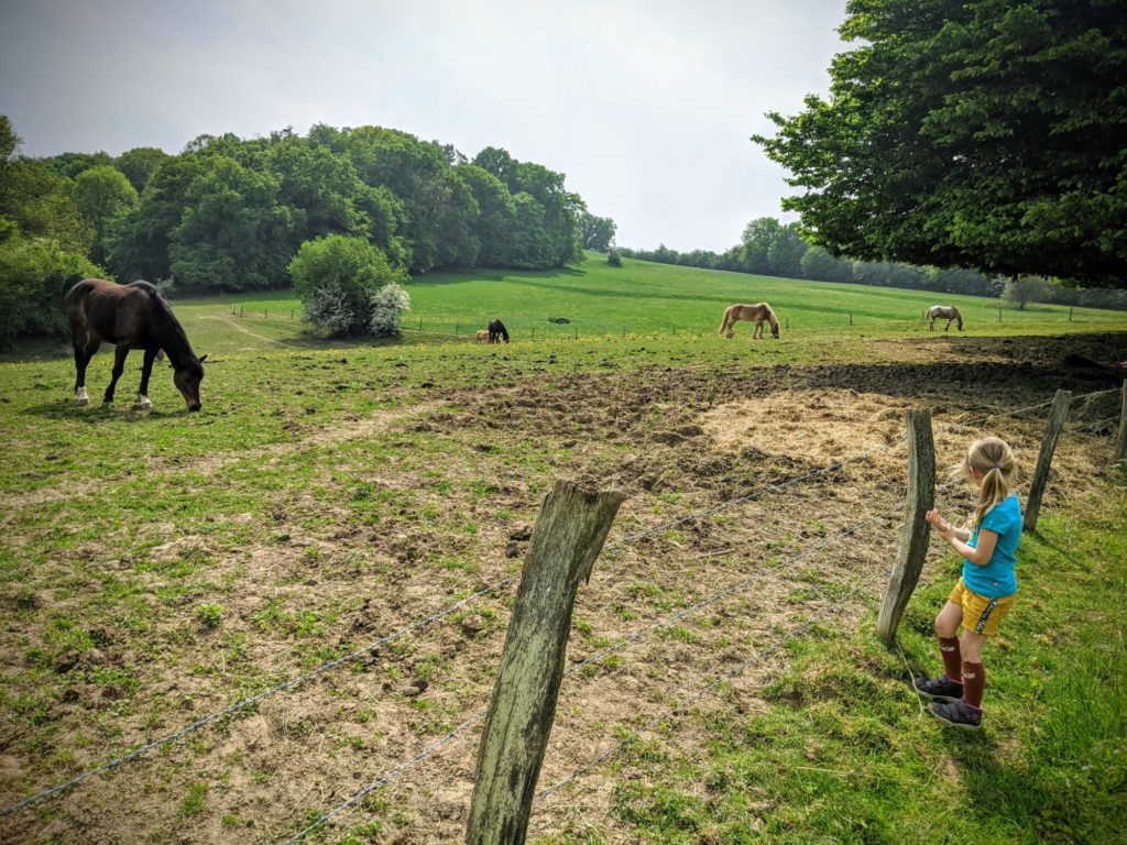 Grande balade hier prés de chez nous en passant enfin à La Roche aux Faucons jusque Plaineveau