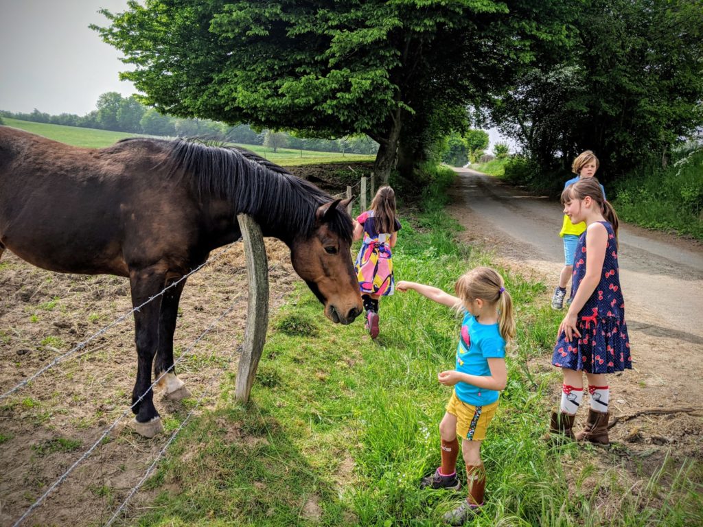 Grande balade hier prés de chez nous en passant enfin à La Roche aux Faucons jusque Plaineveau
