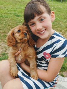 Toute la famille a adopté Padmé ! Cavalier King Charles