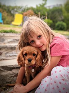 Toute la famille a adopté Padmé ! Cavalier King Charles