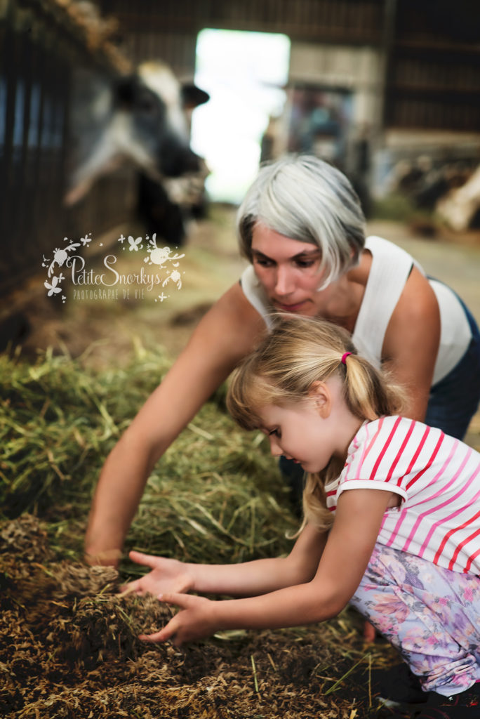 Rose à la Ferme de Haya - Petite Snorkys Photography